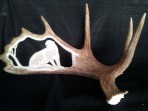 Hand Carved Mountain Lion Moose Antler